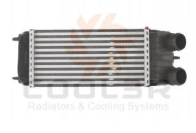 R.D. CT196 - INTERCOOLER CITROEN C2