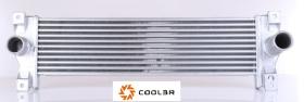 R.D. 107110J81 - INTERCOOLER SSANGYONG KYRION - ACTION