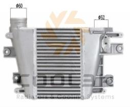 R.D. 1487311 - INTERCOOLER NISSAN PATROL